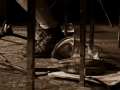 25092011-img_7072