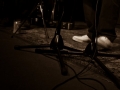 25092011-img_7229